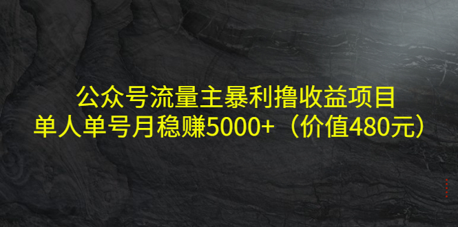 公众号流量主暴利撸收益项目，单人单号月稳赚5000+（价值480元）-升阶有道
