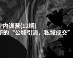 新媒体IP内训营(12期)，一套全新的“公域引流，私域成交”IP打法，直接带走-升阶有道