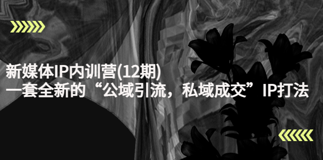 新媒体IP内训营(12期)，一套全新的“公域引流，私域成交”IP打法，直接带走-升阶有道