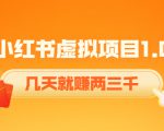 《小红书虚拟项目1.0》账号注册+养号+视频制作+引流+变现，几天就赚两三千-升阶有道
