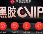 网易云音乐撸黑胶年卡及变现方法，收益可无限放大-升阶有道