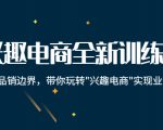 兴趣电商全新训练营:打破品销边界,带你玩转“兴趣电商“实现业务增长-升阶有道