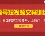 视频号短视频文案训练营:0基础小白如何建立视频号,上热门,能卖货!-升阶有道