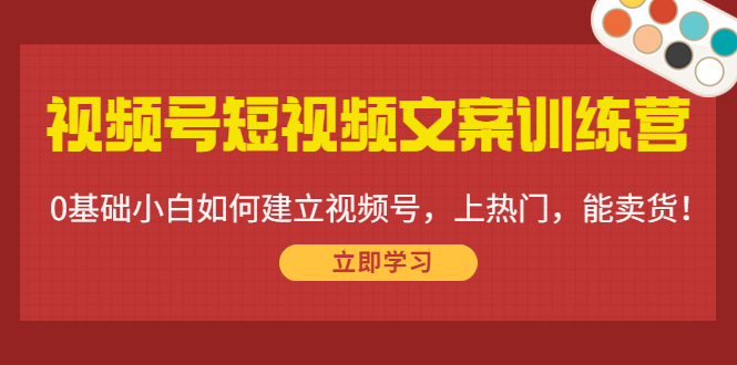 视频号短视频文案训练营：0基础小白如何建立视频号，上热门，能卖货！-升阶有道