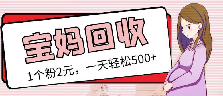 最新小红书母婴号宝妈粉回收项目，1个粉2元，一天轻松500+案例分享【粉丝包回收】-升阶有道