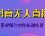 抖音无人直播带货赚佣金陪跑训练营(价值6980元)-升阶有道
