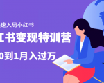 小红书变现特训营：带你快速入局小红书，从0到1月入过万-升阶有道