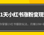 21天小红书涨粉变现营（第4期）：带你掌握小红书爆款玩法，月赚10W+秘密-升阶有道