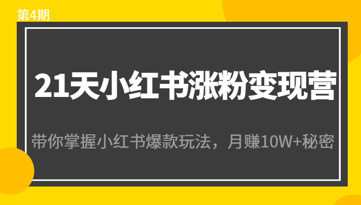 21天小红书涨粉变现营（第4期）：带你掌握小红书爆款玩法，月赚10W+秘密-升阶有道