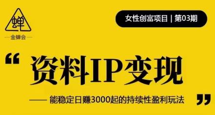 资料IP变现，能稳定日赚3000起的持续性盈利玩法-升阶有道
