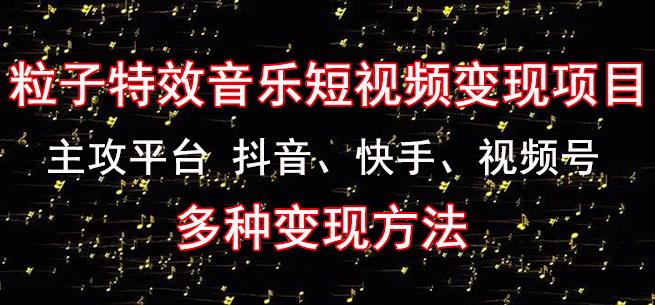 黄岛主《粒子特效音乐短视频变现项目》主攻平台抖音、快手、视频号多种变现方法-升阶有道