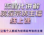婉婉-主播拉新实操课，流程化讲解资深带货主播，让每个人都成为经得起考验的主播-升阶有道