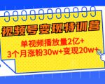21天视频号变现特训营:单视频播放量2亿+3个月涨粉30w+变现20w+(第14期)-升阶有道