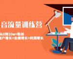 美业抖音流量训练营：从0到10w+粉丝 让你的门店用户增长+业绩增长+利润增长-升阶有道