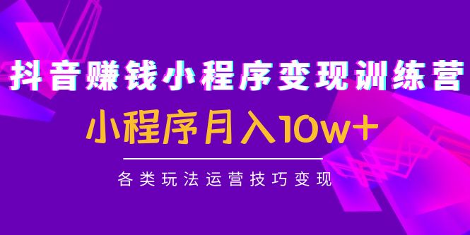 抖音赚钱小程序变现训练营：小程序月入10w+各类玩法运营技巧变现-升阶有道