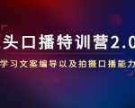 镜头口播特训营2.0版,学习文案编导以及拍摄口播能力(50节课时)-升阶有道