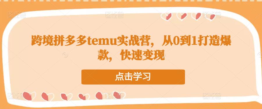 跨境拼多多temu实战营，从0到1打造爆款，快速变现-升阶有道