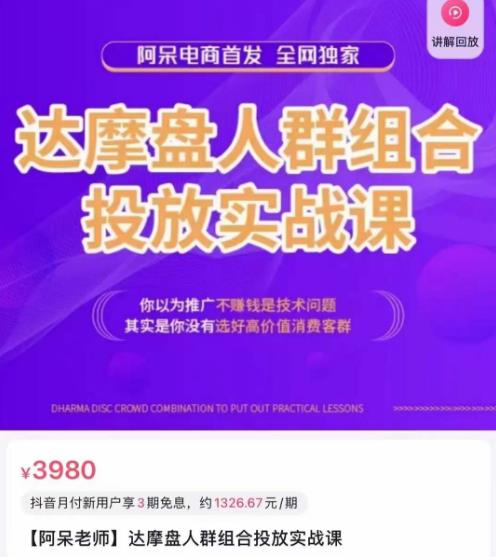 阿呆电商·达摩盘人群组合投放实战课，你以为推广不赚钱是技术问题，其实是你没有选好高价值消费客群-升阶有道