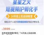 瑶瑶·自然流短视频IP孵化第二期，14天线上实战训练营，赋能100个人成为有数据能赚钱的独立IP孵化手-升阶有道