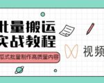 视频号批量搬运实战操作运营赚钱教程，傻瓜式批量制作高质量内容【附视频教程+PPT】-升阶有道