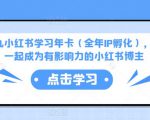 厦九九小红书学习年卡（全年IP孵化），沉浸式学习，一起成为有影响力的小红书博主-升阶有道