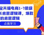 大圣淘宝天猫电商1-7层级盈利增长底层逻辑课,爆款的底层逻辑-升阶有道
