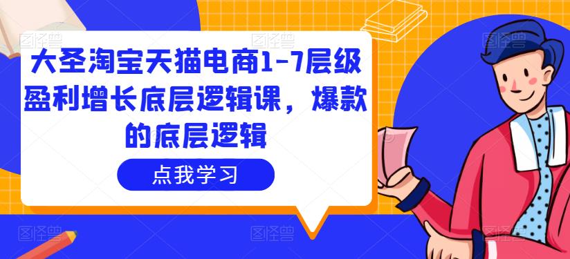 大圣淘宝天猫电商1-7层级盈利增长底层逻辑课，爆款的底层逻辑-升阶有道