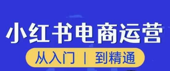 顽石小红书电商高阶运营课程，从入门到精通，玩法流程持续更新-升阶有道