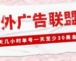 外面收费1980的最新国外LEAD广告联盟搬砖项目，单号一天至少30美金【详细玩法教程】-升阶有道