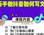 新手做抖音如何写文案,手把手实操如何拆解热门文案-升阶有道