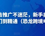 亚马逊广告推广不迷茫，新手卖家产品运营入门到精通（恐龙跨境电商）-升阶有道