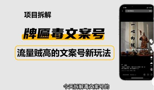 2023抖音快手毒文案新玩法，牌匾文案号，起号快易变现-升阶有道