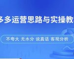 拼多多店铺运营思路与实操教程,快速学会拼多多开店和运营,少踩坑,多盈利-升阶有道