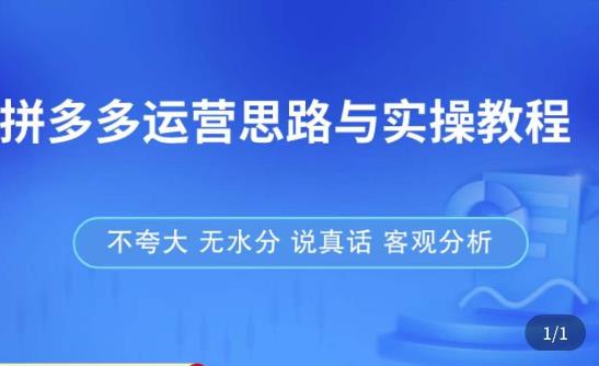 拼多多店铺运营思路与实操教程，快速学会拼多多开店和运营，少踩坑，多盈利-升阶有道
