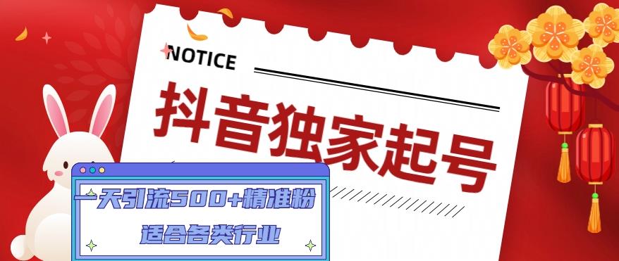 抖音独家起号，一天引流500+精准粉，适合各类行业（9节视频课）-升阶有道
