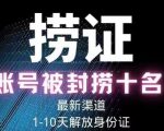2023年最新抖音八大技术,一证多实名,秒注销,断抖破投流,永久捞证,钱包注销,跳人脸识别,蓝V多实-升阶有道