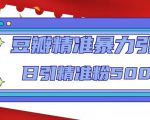 豆瓣精准暴力引流,日引精准粉500+【12课时】-升阶有道