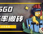 外面9800的CSGO汇率搬砖项目，一个月轻松赚几千【选品软件+详细教程】-升阶有道