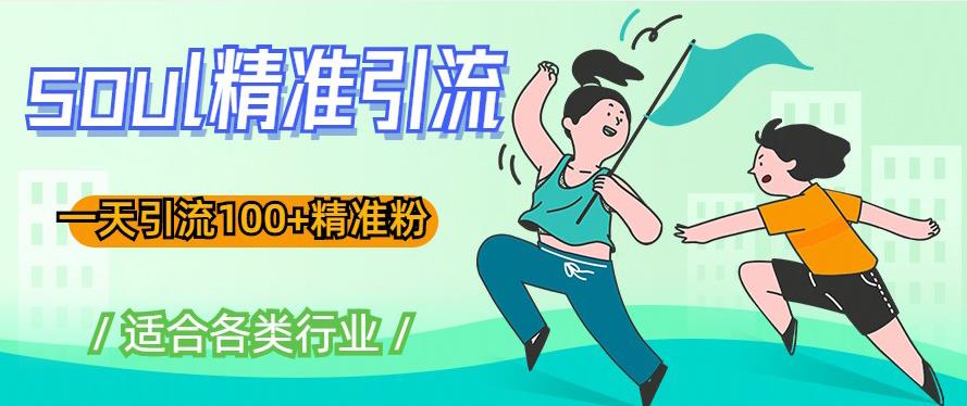 soul精准引流系列课程，一天引流100+精准粉，适合各类行业-升阶有道