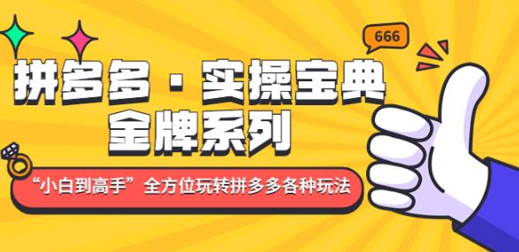 拼多多·实操宝典：金牌系列“小白到高手”带你全方位玩转拼多多各种玩法-升阶有道