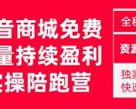 抖音商城搜索持续盈利陪跑成长营，抖音商城搜索从0-1、从1到10的全面解决方案-升阶有道
