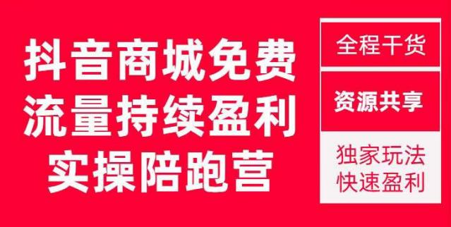 抖音商城搜索持续盈利陪跑成长营，抖音商城搜索从0-1、从1到10的全面解决方案-升阶有道