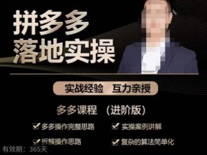 拼多多实战篇·落地实操：多多操作完整思路+实操案例讲解+拆解操作思路+复杂的算法简单化-升阶有道