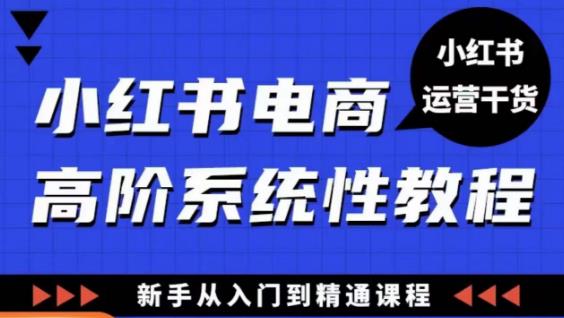 小红书电商高阶系统教程，新手从入门到精通系统课-升阶有道