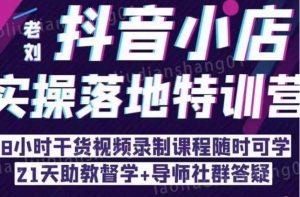 抖音小店实操落地特训营:抖音小店无货源精细化运营,抖店商品卡流量(22节)-升阶有道