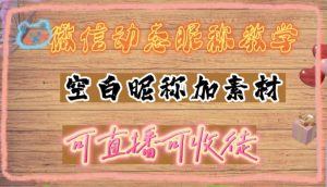 微信动态昵称设置方法,可抖音直播引流,日赚上百【详细视频教程+素材】-升阶有道