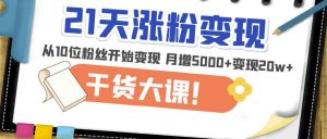 21天精准涨粉变现干货大课:从10位粉丝开始变现月增5000+变现20w+-升阶有道