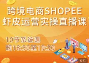 跨境电商Shopee虾皮运营实操直播课,从零开始学,入门到精通(10节系统课)-升阶有道