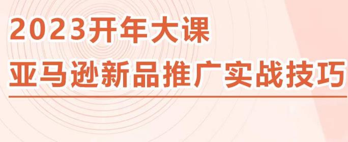 2023亚马逊新品推广实战技巧，线下百万美金课程的精简版，简单粗暴可复制，实操性强的推广手段-升阶有道