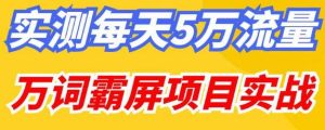 百度万词霸屏实操项目引流课，30天霸屏10万关键词-升阶有道